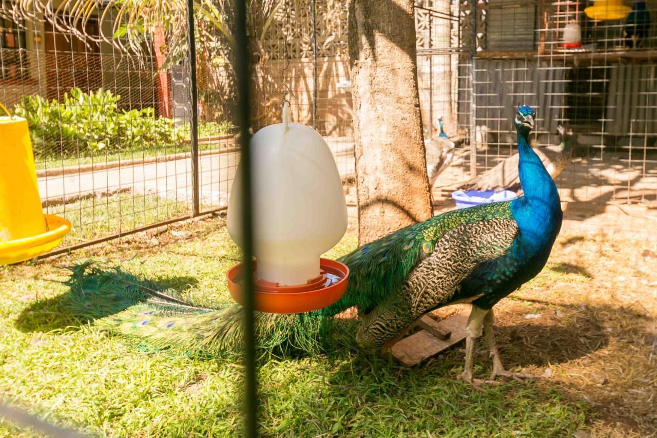 Fahari Gardens Hotel Nairobi Zewnętrze zdjęcie